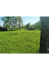 Земельный участок в Марий Эл, 3200 кв.м. Земельный участок, площадь: 3 200кв.м., адрес (местонахождение): Республика Марий Эл, Килемарский р-н, д. Ершово, ул. Рабочая, д.20, кадастровый номер: 12:03:2901001:33