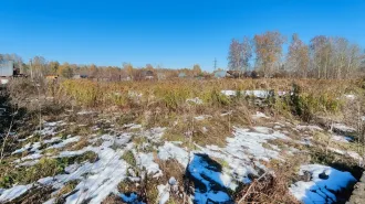 Земельный участок 2084 м² Алтайский край с кадастровым номером 22:33:042801:3384, площадью 2 084 м.кв., местоположение «Российская Федерация, Алтайский край, Первомайский район, Садоводческое некоммерческое товарищество "Новогорское", линия 7, участок № 49. В залоге у ПАО «Сбербанк».