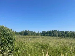 Земельный участок, площадь 622 кв.м, Ленинградская область с кадастровым номером 47:03:0905002:352, расположенный по адресу: Российская Федерация, Ленинградская область, Приозерский район, Красноозерное сельское поселение, вблизи дер. Красноозерное.