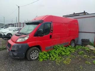 FIAT Ducato 2010  Автомобиль марки FIAT модель Ducato 2010 г.в. VIN-номер ZFA25000001875563. С документами и сведениями об имуществе можно ознакомиться у организатора торгов по телефону +79939190487 или электронной почте miu@arbitr-mamaev.ru в рабочие дни с 10:00 до 16:00. Осмотр производится по…