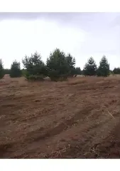 Земельный участок 2436 кв.м, Свердловская обл., 2436 кв.м, площадь: 2 436кв.м., адрес (местонахождение): 622000, Свердловская обл, Пригородный р-н, правее автодороги на с.Петрокаменское, при выезде из с.Николо-Павловское, участок №103, кадастровый номер: 66:19:1909003:944, Категория земель: Земли…