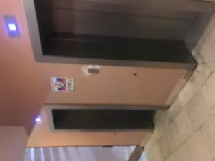 Недвижимое и движимое имущество - здание, назначение: нежилое (гостиница), кад номер: 50:60:0020103:58; здание, назначение: нежилое (проходная), кад номер: 50:60:0020103:55; помещение, назначение: нежилое (теплица), кад номер: 50:60:0020103:92; сооружение, назначение: нежилое (благоустройство с…