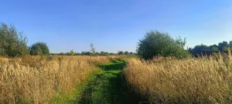 Земельный участок 1647 кв. м, Владимирская область Земельный участок в селе Гатиха, ул. Новая Земельный участок, предназначенный для передачи гражданам для ведения личного подсобного хозяйства (приусадебный земельный участок) в аренду сроком на 20 лет из земель населенных пунктов, площадью 1647 кв…