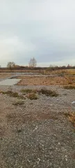 Земельный участок 20000 кв.м, Республика Башкортостан, Кушнаренковский р-н, тер. АЗС Субай с кадастровым номером 02:36:050702:200, площадь 20000, по адресу Российская Федерация, Республика Башкортостан, м.р-н Кушнаренковский, с.п. Шариповский сельсовет, тер. Автозаправочная станция Субай, з/у 2…