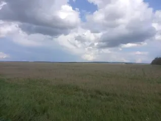 Право долгосрочной аренды земельного участка площадью 1 943 853 кв.м, кадастровый номер 02:47:121101:10, адрес: Местоположение установлено относительно ориентира, расположенного в границах участка. Почтовый адрес ориентира: Республика Башкортостан, р-н. Уфимский, с/с. Николаевский. Имеются…