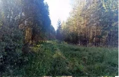 Объект незавершенного строительства (подъездной железнодорожный путь гравийно-щебеночного завода) общей протяженностью 37042 м, кад. №: 69:06:0000000:1685, 
Адрес: Тверская обл., Вышневолоцкий район. Права на земельный участок не оформлены