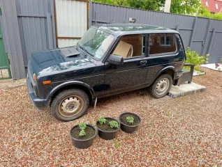 Lada 4x4 Авокадо 2023 4Х4 Авокадо (Зеленый) 2023 г.в. Автомобиль легковой, год выпуска 2023, марка Lada 4Х4, VIN: XTA212140R2504269. Ознакомление с имуществом производится с момента начала приема заявок и до окончания приема заявок по предварительной записи по телефону: 8-919-043-29-28 или…