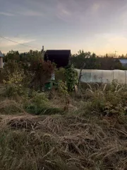 Здание Кадастровый номер:50:05:0040502:159 Площадь общая 24 кв. м
Местоположение: Московская область, Сергиево-Посадский муниципальный район,сельское поселение Васильевское, врне д. Кузьминки, СНТ