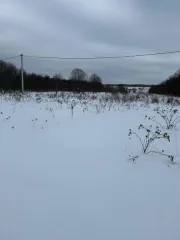 Земельный участок 984 кв.м, Московская область. Кадастровый номер 50:31:0031103:1420. Основной вид разрешенного использования: 13.2.