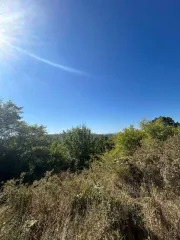 Аренда земельного участка 15000 кв. м Краснодарский край пгт. Ильском кадастровый номер 23:26:0502043:374