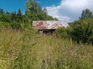 Земельный участок 739 кв.м и 1/2 доли жилого здания 19,3 кв.м, Ивановская область, 1/2 доли в праве на жилое здание общей площадью 19,3 кв.м, местоположение: Ивановская область, р-н. Заволжский, д.Порозово, ул. Подугорица, д. 20, кадастровый номер 37:04:030801:279 и расположенные под ним 1/2 доли в…