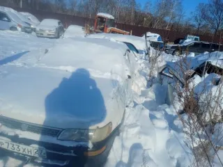 Toyota Corolla 1991, госномер Р733ХН27, номер кузова АЕ1000150212, цвет белый.
