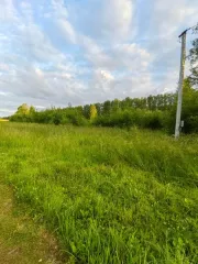 Земельный участок площадью 76942 ± 2427 кв. м, кадастровый номер 60:17:0081707:26. Местоположение установлено относительно ориентира, расположенного в границах участка. Ориентир уч. Ольгино. Участок находится примерно в районе по направлению на северо-запад от ориентира. Почтовый адрес ориентира…