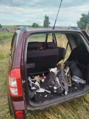 Chery Tiggo (T11) 2015 года, 126 л.с. ЧЕРРИ ТИГГО Т11ФЛ, 2015 г.в., VIN XDLDB11FMF0002336. Отсутствуют все основные узлы и агрегаты. Состояние на фотографиях.