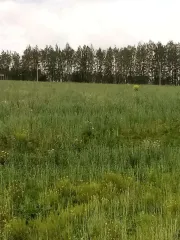 Земельный участок, 7 280 325 кв.м, Республика Башкортостан, Бураевский р-н земельный участок 1/109 доли. Земельный участок для возделывания сельскохозяйственных культур. Кадастровый номер: 02:17:000000:892. Местоположение установлено относительно ориентира, расположенного в границах участка…