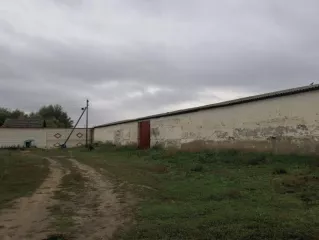 Право аренды земельного участка с кадастровым номером 64:19:080104:18 площадью 160 271 кв. м, расположенного по адресу: Саратовская область, Лысогорский район, в 1 км 375 м севернее села Чадаевка.