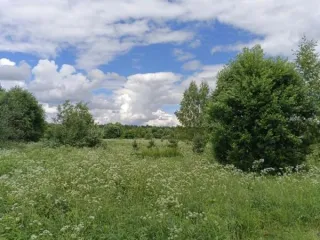 Земельный участок 995 кв м, д. Снятинка, Московская область. Заинтересованные в предоставлении земельного участка площадью 995 кв.м. для индивидуального жилищного строительства, расположенного в д. Снятинка Сергиево-Посадского городского округа Московской области, вправе подать заявление о…