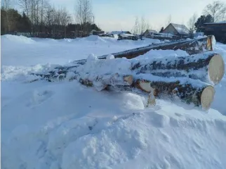 Кедр, 0,77 куб.м, Пировское лесничество 1 ствол дерева (распиленного на 3 сегмента) породы кедр (939 ВД/МВД/ОД/2026), хранится на открытой местности, объем 0,77 куб.м. Древесина находится в КГБУ "Пировское лесничество". (939 ВД/МВД/ОД/2026) Количество и породный состав древесины: 1 ствол дерева…