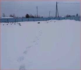 Земельный участок сельскохозяйственного назначения площадью 105 848 кв.м. Кадастровый номер: 66:16:1404001:225. Категория земель: земли сельскохозяйственного назначения. Вид разрешенного использования: сельскохозяйственное использование. Адрес: Свердловская область, Нижнесергинский район, поселок…