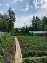 Земельный участок 764 кв.м., ХМАО-Югра. Категория земель: земли сельскохозяйственного назначения, разрешенное использование: под садоводство. Находится по адресу: Ханты-Мансийский автономный округ - Югра, р-н Нефтеюганский, урочище «Сингапайский остров», район КНС-7, СНТ «Энергетик», участок № 56…