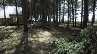Дома для круглогодичного и сезонного проживания, хозпостройки, база «Верхняя Рыбинка», Вологодская область. Объекты недвижимости - дома для круглогодичного и сезонного проживания, хозяйственно-бытовые постройки, очистные сооружения, ограждение (забор металлический), бытовая канализация…