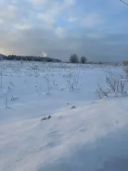 Земельный участок 1200 кв.м в Московской области, Сергиево-Посадский район, в районе деревни Новоселки, северо-восточная часть кадастрового квартала 50:05:0020237.