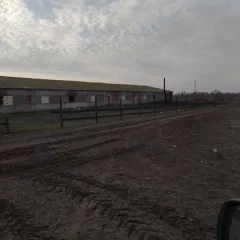 Нежилое здание 3478.5 кв.м и земельный участок 14295 кв.м, Оренбургская область. Нежилое здание, назначение: нежилое, 1-этажный, инв. № 53:205:002:000844700, общая площадь 3478,5 кв.м, кадастровый номер 56:03:0801001:470. Земельный участок, категория земель: земли сельскохозяйственного назначения…