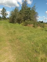 Земельный участок площадью 3600 кв. м, кадастровый номер 60:13:0012101:72, категория земель - земли населенных пунктов, вид разрешенного использования – для ведения личного подсобного хозяйства. Местоположение установлено относительно ориентира, расположенного в границах участка. Почтовый адрес…