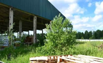 Недвижимое имущество: Сооружение, 24:12:0380107:501, Нежилое (сооружение), склад временного содержания, Красноярский край, Енисейский район, с. Верхнепашино, ул. Советская, 1В/8, 641 кв. м; Здание, 24:12:0380107:512, Нежилое, 663148, Россия, Красноярский край. Енисейский район, с. Верхнепашино, ул…