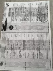 Доля в размере 1/2 в праве общей долевой собственности на земельный участок, категория земель: земли сельскохозяйственного назначения – для ведения сельскохозяйственного производства, площадь: 337 000 кв. м, кадастровый номер 54:13:025312:349, местоположение: Новосибирская область, Краснозерский…
