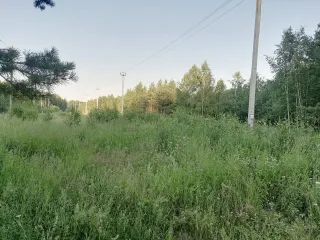 Земельный участок 1500 м², городской округ Ревда Зем. уч. пл. 1500 м2, СО, го Ревда, залог PAO Sberbank - Земельный участок с кадастровым номером 66:21:1401002:410, площадью 1 500 м², местоположение «Свердловская область, городской округ Ревда, севернее с. Кунгурка, урочище Дегтярные, сектор М…