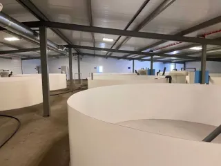 Строительство фермы по выращиванию форели по адресу д. Мещеряково Промпарк «Буинск» Буинского муниципального района, кадастровый номер 16:14:140102:762, общая площадь 1 432,0 кв.м. (в залоге АО «Татагролизинг»); Административное здание, кадастровый номер 16:14:140102:763, общая площадь 57,4 кв.м…