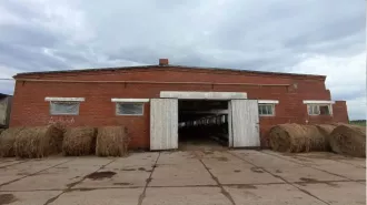Здание нежилое, общая площадь 3548,6 кв.м,, кадастровый номер 59:36:0640001:186, Адрес объекта: Пермский край, Уинский район, Аспинское с/п, с.Аспа, тер. По левой стороне автодороги "Аспа-Мизево", в урочище у комплекса "Заря" 
Здание нежилое, общая площадь 5435,1 кв.м), кадастровый номер…