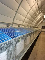 Ангар тентовый для кролиководческой фермы арочный утепленный быстровозводимый для маточно-откормочного корпуса (клеточное оборудование; комплект продольного поения; комплект системы отопления; комплект системы охлаждения; комплект системы навозоудоления).