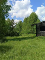 Земельный участок 1441 кв.м. и дом 46.6 кв.м., Нижегородская область, Воскресенский район, сельское поселение Нестиарский сельсовет, деревня Никаново, улица Ветеранов, 7. Кадастровый номер участка: 52:11:0150006:21, вид разрешенного использования: для ведения личного подсобного хозяйства…