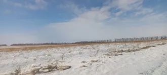 Земельный участок кадастровый номер 24:25:0401004:62 общей площадью 7200 м2 категории земель сельскохозяйственного назначения с разрешенным использованием для ведения личного подсобного хозяйства по адресу местоположение установлено относительно ориентира расположенного в границах участка ориентир…