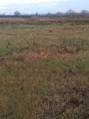 Земельный участок 2941 м², Республика Башкортостан, Чекмагушевский район, село Староихсаново, улица Ярыш, кадастровый номер 02:51:100701:522, площадь 2941 м², обеспечен залогом в пользу ПАО Сбербанк. Ознакомление с имуществом в период приема заявок производится по заявке, направляемой на…