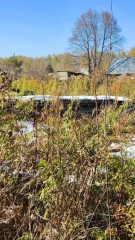 Земельный участок 2084 м² Алтайский край с кадастровым номером 22:33:042801:3384, площадью 2 084 м.кв., местоположение «Российская Федерация, Алтайский край, Первомайский район, Садоводческое некоммерческое товарищество "Новогорское", линия 7, участок № 49. В залоге у ПАО «Сбербанк».