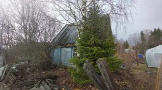 Садовый домик с хозпостройками, 27.2 м², Республика Коми. Нежилое здание (садовый домик с хозпостройками) по адресу: г. Сыктывкар, территория Эжвинский СНТ Таежное, дом 57а, одновременно с земельным участком. Объект представляет собой деревянный дом, обшитый досками, покрашенный, краска выгорела…