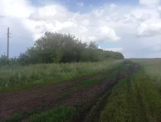 Право долгосрочной аренды земельного участка общей площадью 1 100 485 кв.м, кадастровый номер 02:47:000000:1823, адрес: Местоположение установлено относительно ориентира, расположенного в границах участка. Почтовый адрес ориентира: Республика Башкортостан, р-н. Уфимский, с/с. Николаевский, д…