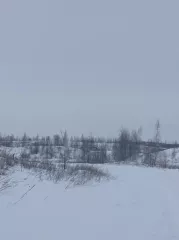 Сооружение автодорога на промплощадку, кадастровый номер 62:19:0980101:470, по адресу: Рязанская область, Скопинский район, с. Петрушино, площадь 1440 кв. м.