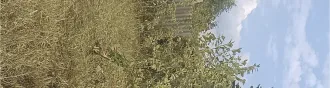 Земельный участок с кадастровым номером 72:01:0104001:594, площадью 493 +/  16 кв. м, расположенный по адресу: Тюменская область, Абатский район, территория СНТ «Строитель», ул. № 7, участок 18, с расположенным на нем кирпичным строением  дачный дом  площадью 16 кв. м. Земельный участок с…
