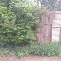 Земельный участок с расположенными на нем объектами недвижимого имущества по адресу: Новгородская область, Боровичский район, городское поселение г. Боровичи, ул. наб. Октябрьской Революции, д. 8а. Земельный участок площадью 1246 кв. м, кадастровый номер 53:22:0020907:16. На участке расположены…