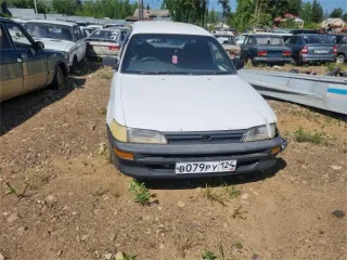 Автомобиль Toyota Sprinter г/н В079РУ124 год выпуска не установлен, комплектность и состояние не проверялись. Находится в Богучанском районе. Многочисленные следы ржавчины, находится в частично разукомплектованном состоянии. Документы отсутствуют, наложены запреты на регистрационные действия…