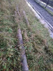 Бензопилы: Husqvarna 240, Stihl MS 180, Stihl MS 180, Huter, Stihl MS 180/С, Husqvarna 240; принтер HP (Hewlett-Packard) DeskJet 2632; ноутбук Lenovo 2 шт; деревянные столбы 7 шт; дровяная древесина породы Лиственница 0,71 куб.м; дровяная древесина породы Лиственница 2,39 куб.м; деловая древесина…