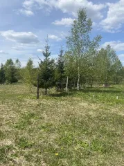Земельные участки, 52 310 кв. м, Ярославская обл., Переславский р-н, ДНП «Союз дачников» (16 поз.) - 52 310 +/- 162 кв. м, адрес: Ярославская обл., Переславский р-н, с/о Глебовский, вблизи дер. Большое Пальцино, земли сельскохозяйственного назначения - для ведения дачного хозяйства.