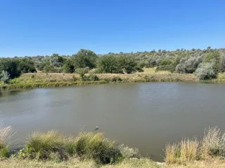 Гидротехническое сооружение 3131,4 кв.м в Ставропольском крае, Изобильненский район, на южной стороне хутора Беляева. Кадастровый номер 26:06:000000:4042. Назначение сооружения: ГТС. Ограничения и обременения отсутствуют.