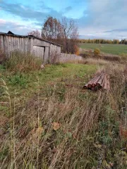 Древесина ель пихта бревна дрова части стволов годные остатки Древесина пород ель и пихта, в форме бревен, дров, частей стволов (годные остатки) 16 бревен породы ель (16 шт.); Дрова породы «Ель» - 113 шт, породы «Пихта» - 5 шт., (118 шт.); Дрова, породы «Ель» - 324 шт. и 76 шт., (400 шт.); Части…