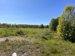 Земельный участок площадью 1891389 кв.м., кад. № 12:03:0202001:73, расположенный по адресу: РМЭ, Килемарский район, в восточной части кад.квартала №12:03:0202001 Вид разрешённого использования земельного участка: 1.0