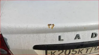 Lada Priora, 2010 года, 97 лс, 379627 км, транспортное средство: Lada (ВАЗ) Priora, идентификационный номер (VIN): XTA217030A0240720, год выпуска: 2010, гос. номер К205КТ126.